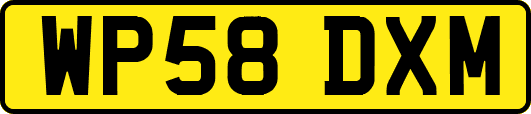 WP58DXM