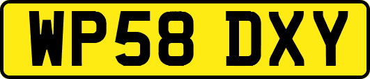 WP58DXY