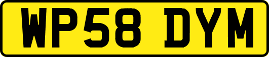 WP58DYM