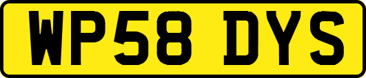 WP58DYS