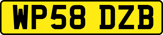 WP58DZB