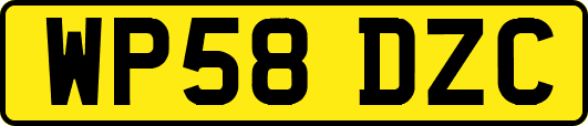 WP58DZC