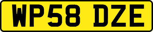 WP58DZE