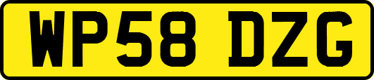 WP58DZG