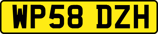 WP58DZH