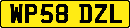 WP58DZL