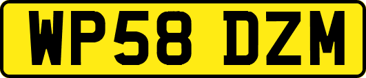 WP58DZM