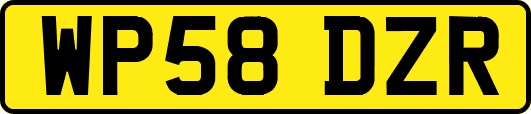 WP58DZR