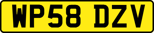 WP58DZV