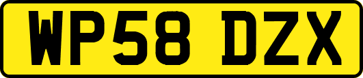 WP58DZX