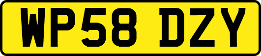 WP58DZY
