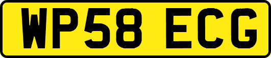 WP58ECG
