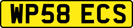 WP58ECS