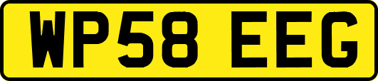 WP58EEG