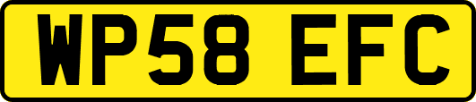 WP58EFC