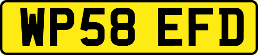 WP58EFD