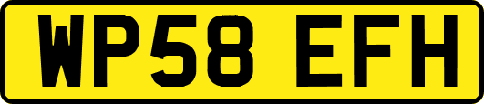 WP58EFH
