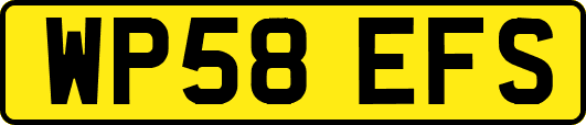 WP58EFS