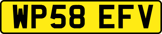WP58EFV