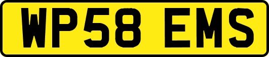 WP58EMS