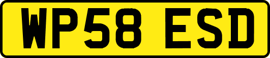 WP58ESD
