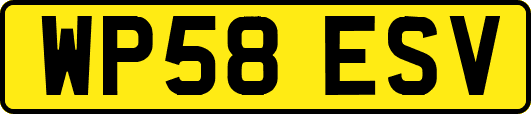 WP58ESV