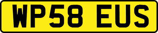 WP58EUS