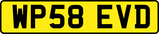 WP58EVD