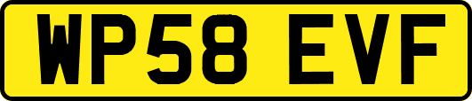 WP58EVF