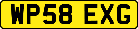 WP58EXG