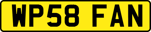 WP58FAN