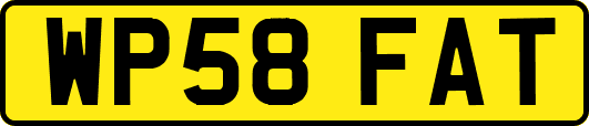 WP58FAT