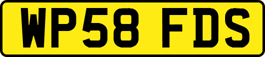 WP58FDS