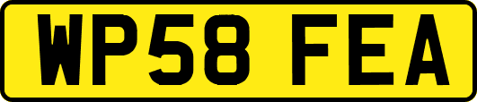 WP58FEA