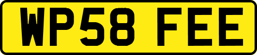 WP58FEE
