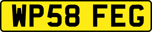 WP58FEG