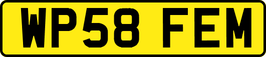 WP58FEM
