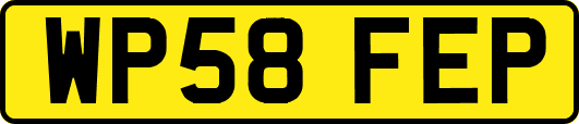 WP58FEP