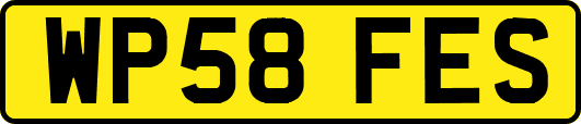 WP58FES
