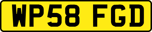 WP58FGD