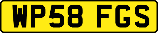 WP58FGS