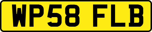 WP58FLB