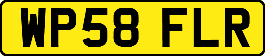 WP58FLR