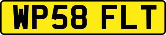 WP58FLT