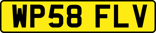 WP58FLV