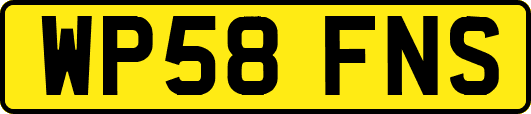 WP58FNS