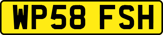 WP58FSH