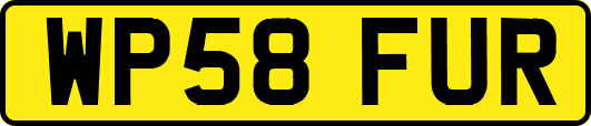 WP58FUR
