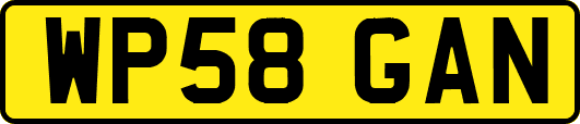 WP58GAN