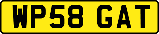 WP58GAT